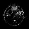 2405569 0 7 - Dark Souls UK Store